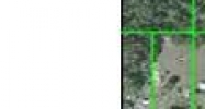 Kent Grove N of Giddens Spring Hill, FL 34610 - Image 15294766