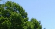 360 Commercial St Rockport, ME 04856 - Image 15294750
