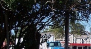 112 Denmark St Savannah, GA 31408 - Image 15295077