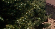 2029 S Elms Rd Swartz Creek, MI 48473 - Image 15295034