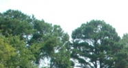 5708 Howard Foss Dr Savannah, GA 31406 - Image 15297273