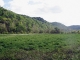 4380 Jennings Creek Hwy Whitleyville, TN 38588 - Image 15297269