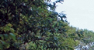 0 Route 112 Buxton, ME 04093 - Image 15298478