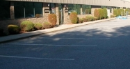 179 Ward Hill Ave Haverhill, MA 01835 - Image 15298865