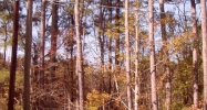 0 South Highway 27 La Fayette, GA 30728 - Image 15298901