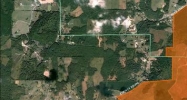 375 County Road 296 Sweetwater, TN 37874 - Image 15303124