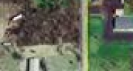 1120 East US Hwy 20 Chesterton, IN 46304 - Image 15304968