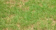 14912 Frenchtown Road Greenwell Springs, LA 70739 - Image 15306020