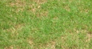 14882 Frenchtown Road Greenwell Springs, LA 70739 - Image 15306021