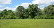 Summit Ridge Rd Lot 8 Franklinton, LA 70438 - Image 15307845