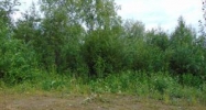 3616 S Dawn Lake Drive Wasilla, AK 99654 - Image 15310675