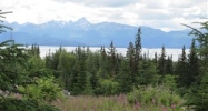 Tr 2 Frontier Lane Homer, AK 99603 - Image 15323546
