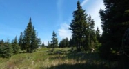 Tr 2 Treeline Homer, AK 99603 - Image 15369049