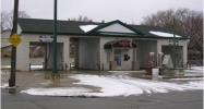 462 BIDDLE AVE Wyandotte, MI 48192 - Image 15373951