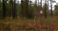 999 Mire Dr. Mandeville, LA 70471 - Image 15375636