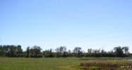 262 State Road 130 Valparaiso, IN 46385 - Image 15375811