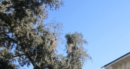 107 W Bloomingdale Ave Brandon, FL 33511 - Image 15376121