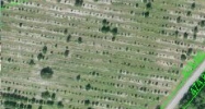 6514 Tower Rd Land O Lakes, FL 34638 - Image 15376107