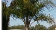 1200 S. Pinellas Avenue Tarpon Springs, FL 34689 - Image 15376482