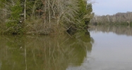 Serenity Circle Loudon, TN 37774 - Image 15376842