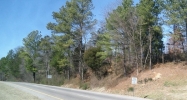 Hwy 321/95 Lenoir City, TN 37771 - Image 15377617