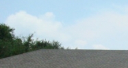 33845 State Road 54 Wesley Chapel, FL 33545 - Image 15378174