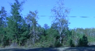 00 Nicklesville Road Ranger, GA 30734 - Image 15378288