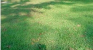 34 Berry Street New Castle, KY 40050 - Image 15379883