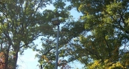 1006 Epco Dr Dandridge, TN 37725 - Image 15391285