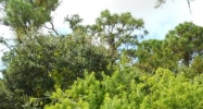 New York Ave Englewood, FL 34223 - Image 15392389
