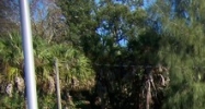 3300 US HIGHWAY 41 N Palmetto, FL 34221 - Image 15392448