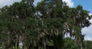 1501 Surrey St Lafayette, LA 70501 - Image 15395309