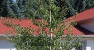 6681 Denver St Bonners Ferry, ID 83805 - Image 15397084