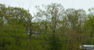 2740 Route 28 Shokan, NY 12481 - Image 15397841