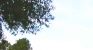 7050-7066 LAKEVIEW HAVEN DRIVE Houston, TX 77095 - Image 15399876