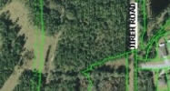 31507 SR 54 Wesley Chapel, FL 33543 - Image 15403701