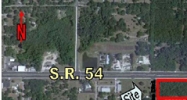 30236 STATE RD 54 Wesley Chapel, FL 33543 - Image 15403704