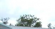 29440 State Road 54 Wesley Chapel, FL 33543 - Image 15403706