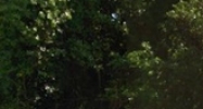 105 Victoria St Brandon, FL 33510 - Image 15404173