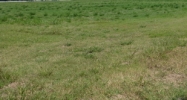 614 Coteau Rd New Iberia, LA 70560 - Image 15404622