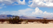 29 Palm Hwy. Twentynine Palms, CA 92277 - Image 15404883