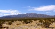 South Street Twentynine Palms, CA 92277 - Image 15404843