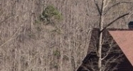 O Blanche Manor Ln Blue Ridge, GA 30513 - Image 15407019