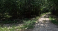 Hwy 445 Tract 2 Robert, LA 70455 - Image 15407168
