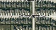 FM 529 (Freeman Road) Houston, TX 77040 - Image 15407749