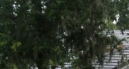 316 E. Bloomingdale Ave Brandon, FL 33511 - Image 15407856