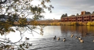 1865 Woodmoor Dr Monument, CO 80132 - Image 15407972