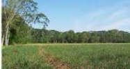 0 Main Hwy 31 Saint Martinville, LA 70582 - Image 15408055