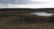 21 Water View Drive Philadelphia, MS 39350 - Image 15409581