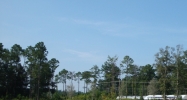 Lot 1A Hwy 25 Covington, LA 70435 - Image 15412874